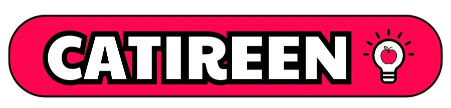 Logo CATIREEN, Metodologia
